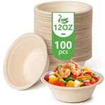 Disposable Paper Bowls 12 Oz Pack Large BOWL100% Compostable Biodegradable New. Price: $20.00.