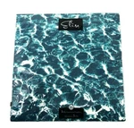 Elise 3-PLY Paper Luncheon Napkins Adrift Placid Blue Turquoise 16CT Party New. Price: $10.00.