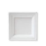 Susty Party 6-INCH Compostable Square (50-COUNT), Plates, White New. Price: $18.92.