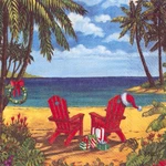 Boston International Ihr Holiday Beach Themed Cocktail Napkins, Discovery Bay New. Price: $11.98.