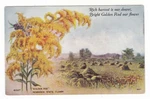 C1910 Table Rock Nebraska State Flower Golden Rod Harvest Vintage Postcard ! Used. Price: $9.99.