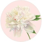 Caspari Round Paper Lunch Plates, Duchess Peonies Blush - 2 Packs (16890SP) New. Price: $19.00.