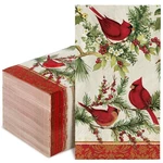 Jarthenaamcs 80PCS Christmas Paper Guest Napkins 4.3 X 7.8 Inch(folded), Red New. Price: $21.46.