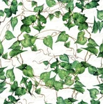 Decoupage Art Craft Cocktail Napkin X 5", Ivy, Floral Design, Greenery New. Price: $11.59.