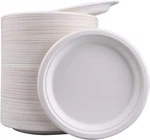 Natural Disposable Plates 10" 150 Pack Compostable Dinner Party Essentials New. Price: $75.14.