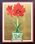 Set Of 4 New Caspari Christmas Holiday Cards Red Amaryllis Large Foil Lot. Price: $13.99.
