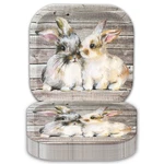 Havercamp Bunny Rabbit (24 Pcs)! 9 Inch Large Dinner Plates. Super-cute New. Price: $22.30.