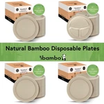 Ibambo Bamboo Disposable Paper Plates - Compostable Plate, Pfas Free New. Price: $17.97.