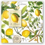 Michel Design Works Beverage Napkins, Lemon Basil - 2 Packs (814008) New. Price: $19.00.