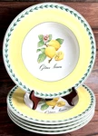 Villeroy Boch French Garden Fleurence 11.75 Rimmed Pasta Bowl Citrus Limon New. Price: $195.00.