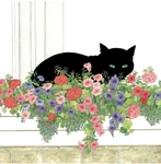 Ppd Always Creative "black Cat Flower Box Paper Napkins New. Price: $12.95.