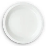 Creative Converting Paper Banquet Plates, White (50000B) New. Price: $19.00.