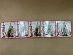 Lot Of Caspari Paper Lunch Plates For Christmas: Caroling Pets New. Price: $25.00.