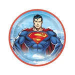Dc Comics Superman Party Disposable Paper Dinner Plates 9", 8 Count New. Price: $13.23.