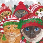 Paperproducts Design Beverage Napkins, Cat Usie - Packs (325002888) New. Price: $19.99.