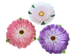 Cheery Set Of Spring Flower Easter Plates 8 Vanson Used. Price: $31.99.