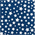 TW7-21994 Disposable Dessert And Lunch Napkins For Parties, 20PC, X 5", Blue New. Price: $14.99.
