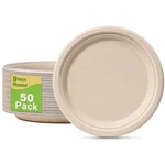 Paper 9 Inch, 50 Pack Eco Friendly Recycled Plates, 100% Compostable D... New. Price: $22.72.