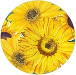 Caspari Round Paper Salad/dessert Plates, Sunflowers - Pack (16520SP) New. Price: $19.00.