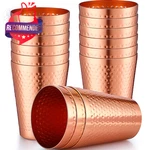 Nuogo 12 Pieces Aluminum Drink Cup, Copper Water TUMBLERS,14 Oz Metal Cups... New. Price: $68.64.