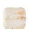 Eco-gecko 10" Square Palm Leaf Plate / 100-CT Case New. Price: $57.95.