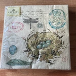 Cypress Home 20 Pack Paper Napkins Bird Nest Vintage Nature Theme Party New. Price: $10.00.