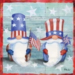 Boston International Ihr 3-PLY Paper Napkins, Cocktail Size, Freedom Gnomes New. Price: $8.50.