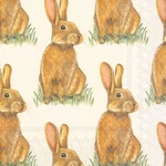 Boston International - Eddie Luncheon Napkin L536400 New. Price: $13.00.