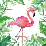Paperproducts Design Beverage Napkins, Tropical Flamingo - Packs (1252707) New. Price: $19.99.
