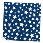 TW7-21994 Disposable Dessert And Lunch Napkins For Parties, 20PC, Blue 5" X New. Price: $16.50.