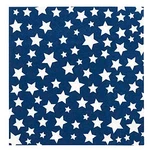 TW7-21994 Disposable Dessert And Lunch Napkins For Parties, 20PC, Blue 5" X New. Price: $11.72.