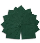 Solino Home 100% Pure Linen Cocktail Napkins Set Of 12-6 X Inch Dark Green Sq New. Price: $22.99.