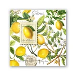 Michel Design Works Soft Triple-ply Paper Cocktail Napkins, Lemon Basil Theme... New. Price: $25.04.