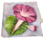 Decoupage Napkins Ambiente Morning Glory 4 Sided Luncheon 6.5" (9) Ct Read New. Price: $10.80.