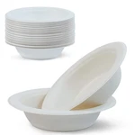 Green Earth, 16 Oz, 125-COUNT, Compostable Bowls, Natural Bagasse (sugarcane ... New. Price: $29.95.