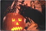 Halloween-themed Oriental City Pub. 4X6 Postcard Jack O'lantern And Black Cat Used. Price: $5.25.