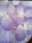 Nareg International Rice Paper Napkins. 15 Package. New. Price: $7.00.