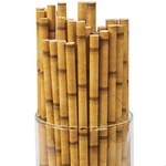 Fun Express Bamboo Paper Straws (24PC) - Party Count (pack Of 1), Gold New. Price: $15.97.