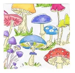 Caspari Paper Luncheon Napkins, Woodland Mushrooms - 2 Packs (18000L) New. Price: $19.99.