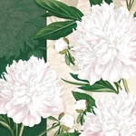 Decoupage Paper Luncheon White Peony Floral - Pack Of 20 Napkins New. Price: $13.01.