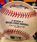 Mlb Rawlings Official Major League Baseball Platter Plate 13.5" Amscan 2023 Nwt. Price: $22.50.
