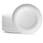 9 Inch - 500 Count Uncoated White Paper Plates, Dessert Disposable ... New. Price: $49.63.