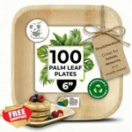 Koalalove Palm Leaf Plates 6IN 100 Bulk Appetizer Dessert Square Eco New. Price: $72.95.