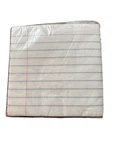 Spritz Lunch Napkins 30CT Notebook Paper Style Party School Theme New. Price: $8.69.