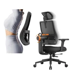 Ergonomic Home Office Chair, High Back Desk With Unique Adaptive Lumbar... New. Price: $421.37.