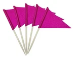 100 Pcs Solid Blank Toothpick Flags Small Mini Plain Cupcake Toppers Rosy New. Price: $19.72.