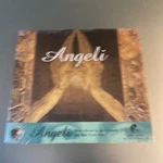 Angeli, Joe T. Vannelli, New Electronic 20003 Brand Cd. Price: $9.99.
