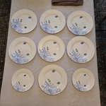 Christopher Vine Design Blue Coral Reef Bone China Plates 9-PIECE Set Used. Price: $87.09.