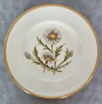 Htf! Williamson Flower Salad/dessert Plate By Royal Worcester - Your Choice! Used. Price: $28.00.