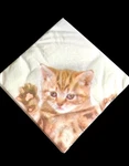 Cat Party Napkins Pack Of 24 / Different Designs 13" X Realistic Kitties New. Price: $5.99.